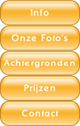 wp13ac7ff2.png